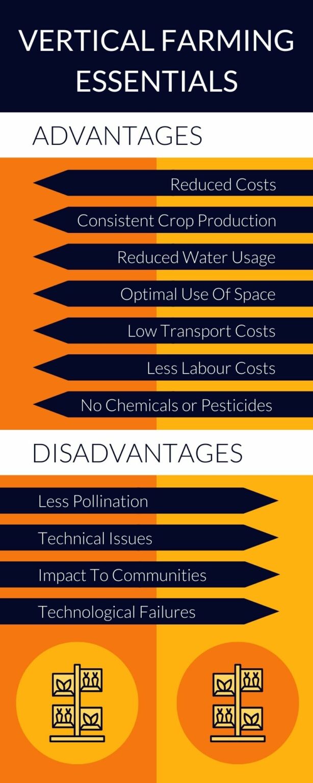 the-advantages-and-disadvantages-of-vertical-farming-storm4
